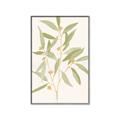 Picture of Botanical Strand II _GroupedProduct_Rectangle_Portrait_Canvas_Framed_