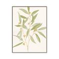 Picture of Botanical Strand II _GroupedProduct_Rectangle_Portrait_Canvas_Framed_