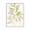 Picture of Botanical Strand II _GroupedProduct_Rectangle_Portrait_Canvas_Framed_