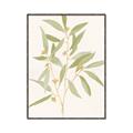 Picture of Botanical Strand II _GroupedProduct_Rectangle_Portrait_Canvas_Framed_