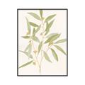 Picture of Botanical Strand II _GroupedProduct_Rectangle_Portrait_Canvas_Framed_