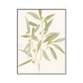 Picture of Botanical Strand II _GroupedProduct_Rectangle_Portrait_Canvas_Framed_