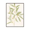 Picture of Botanical Strand II _GroupedProduct_Rectangle_Portrait_Canvas_Framed_
