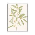 Picture of Botanical Strand II _GroupedProduct_Rectangle_Portrait_Canvas_Framed_