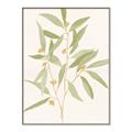 Picture of Botanical Strand II _GroupedProduct_Rectangle_Portrait_Canvas_Framed_