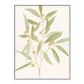 Picture of Botanical Strand II _GroupedProduct_Rectangle_Portrait_Canvas_Framed_