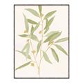Picture of Botanical Strand II _GroupedProduct_Rectangle_Portrait_Canvas_Framed_