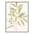Picture of Botanical Strand II _GroupedProduct_Rectangle_Portrait_Canvas_Framed_