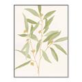 Picture of Botanical Strand II _GroupedProduct_Rectangle_Portrait_Canvas_Framed_