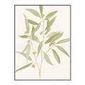 Picture of Botanical Strand II _GroupedProduct_Rectangle_Portrait_Canvas_Framed_