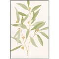 Picture of Botanical Strand II _GroupedProduct_Rectangle_Portrait_Canvas_Framed_