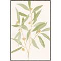Picture of Botanical Strand II _GroupedProduct_Rectangle_Portrait_Canvas_Framed_