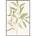 Picture of Botanical Strand II _GroupedProduct_Rectangle_Portrait_Canvas_Framed_