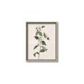 Picture of Swaying Foliage III _GroupedProduct_Rectangle_Portrait_Canvas_Framed_
