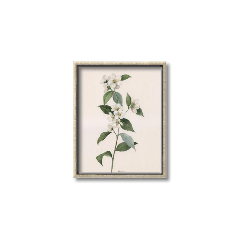 Picture of Swaying Foliage III _GroupedProduct_Rectangle_Portrait_Canvas_Framed_