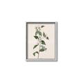 Picture of Swaying Foliage III _GroupedProduct_Rectangle_Portrait_Canvas_Framed_