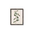 Picture of Swaying Foliage III _GroupedProduct_Rectangle_Portrait_Canvas_Framed_