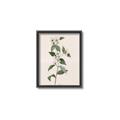 Picture of Swaying Foliage III _GroupedProduct_Rectangle_Portrait_Canvas_Framed_
