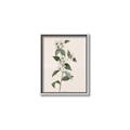 Picture of Swaying Foliage III _GroupedProduct_Rectangle_Portrait_Canvas_Framed_