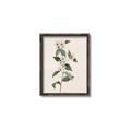Picture of Swaying Foliage III _GroupedProduct_Rectangle_Portrait_Canvas_Framed_