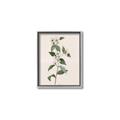 Picture of Swaying Foliage III _GroupedProduct_Rectangle_Portrait_Canvas_Framed_