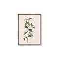 Picture of Swaying Foliage III _GroupedProduct_Rectangle_Portrait_Canvas_Framed_