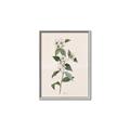 Picture of Swaying Foliage III _GroupedProduct_Rectangle_Portrait_Canvas_Framed_