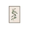 Picture of Swaying Foliage III _GroupedProduct_Rectangle_Portrait_Canvas_Framed_