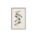 Picture of Swaying Foliage III _GroupedProduct_Rectangle_Portrait_Canvas_Framed_