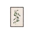 Picture of Swaying Foliage III _GroupedProduct_Rectangle_Portrait_Canvas_Framed_