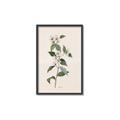 Picture of Swaying Foliage III _GroupedProduct_Rectangle_Portrait_Canvas_Framed_