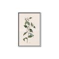 Picture of Swaying Foliage III _GroupedProduct_Rectangle_Portrait_Canvas_Framed_