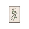 Picture of Swaying Foliage III _GroupedProduct_Rectangle_Portrait_Canvas_Framed_