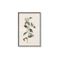 Picture of Swaying Foliage III _GroupedProduct_Rectangle_Portrait_Canvas_Framed_