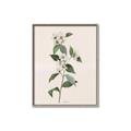 Picture of Swaying Foliage III _GroupedProduct_Rectangle_Portrait_Canvas_Framed_