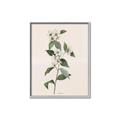 Picture of Swaying Foliage III _GroupedProduct_Rectangle_Portrait_Canvas_Framed_