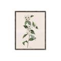 Picture of Swaying Foliage III _GroupedProduct_Rectangle_Portrait_Canvas_Framed_