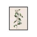 Picture of Swaying Foliage III _GroupedProduct_Rectangle_Portrait_Canvas_Framed_