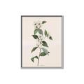 Picture of Swaying Foliage III _GroupedProduct_Rectangle_Portrait_Canvas_Framed_