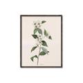 Picture of Swaying Foliage III _GroupedProduct_Rectangle_Portrait_Canvas_Framed_