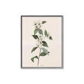 Picture of Swaying Foliage III _GroupedProduct_Rectangle_Portrait_Canvas_Framed_