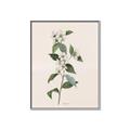 Picture of Swaying Foliage III _GroupedProduct_Rectangle_Portrait_Canvas_Framed_