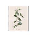 Picture of Swaying Foliage III _GroupedProduct_Rectangle_Portrait_Canvas_Framed_