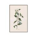 Picture of Swaying Foliage III _GroupedProduct_Rectangle_Portrait_Canvas_Framed_