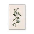Picture of Swaying Foliage III _GroupedProduct_Rectangle_Portrait_Canvas_Framed_