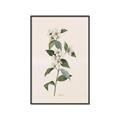 Picture of Swaying Foliage III _GroupedProduct_Rectangle_Portrait_Canvas_Framed_