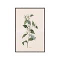 Picture of Swaying Foliage III _GroupedProduct_Rectangle_Portrait_Canvas_Framed_