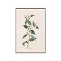 Picture of Swaying Foliage III _GroupedProduct_Rectangle_Portrait_Canvas_Framed_