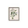 Picture of Swaying Foliage IV _GroupedProduct_Rectangle_Portrait_Canvas_Framed_
