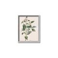 Picture of Swaying Foliage IV _GroupedProduct_Rectangle_Portrait_Canvas_Framed_